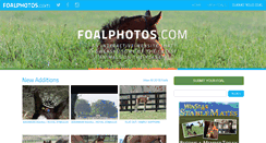 Desktop Screenshot of foalphotos.com
