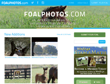 Tablet Screenshot of foalphotos.com